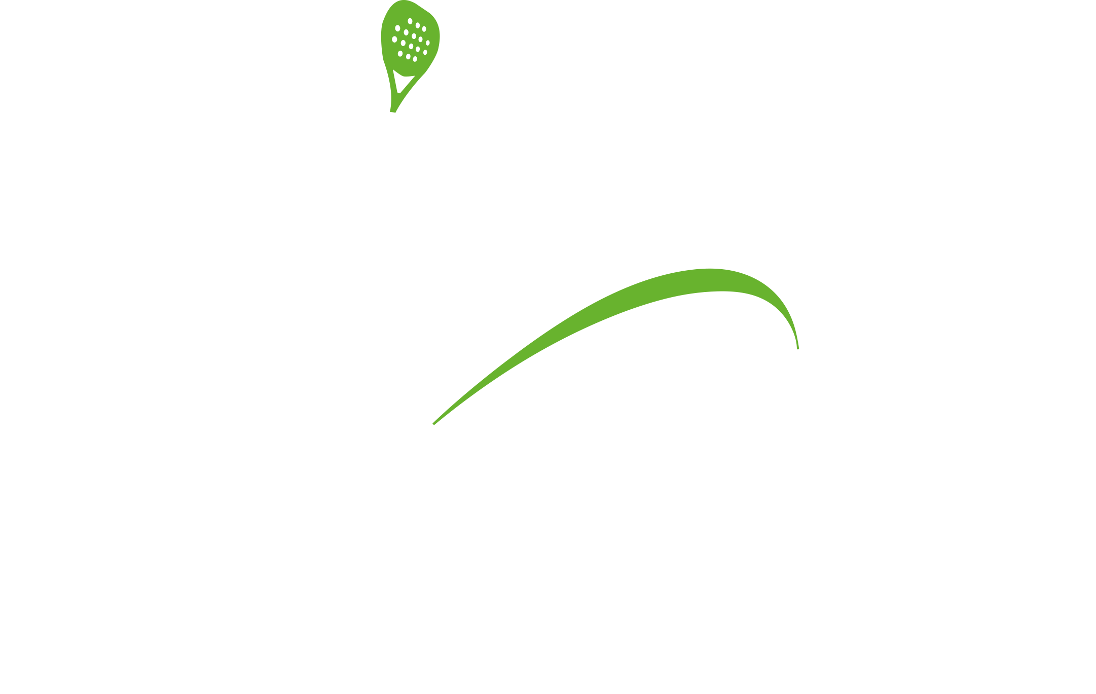 Skypadel Desenzano